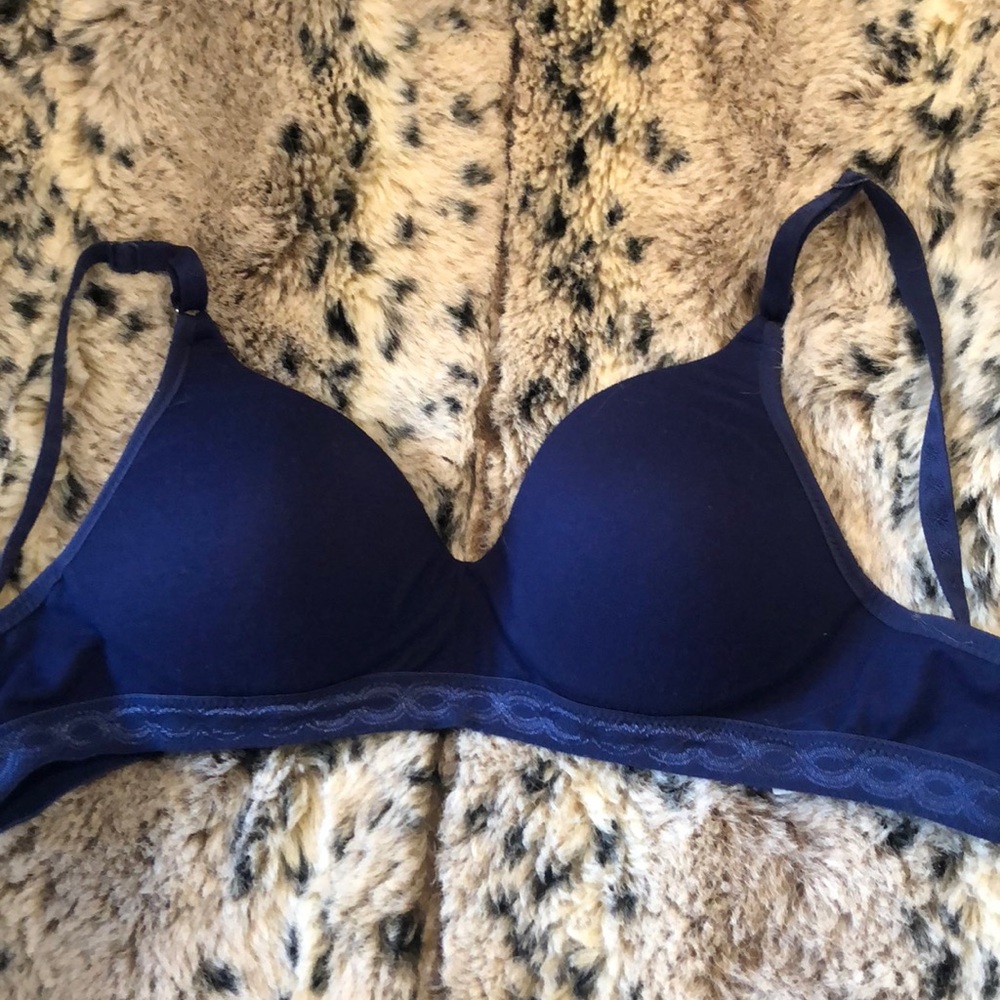 Soft Blue Simply Perfect by Warner’s Bra